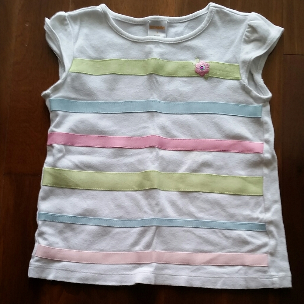 Shirt with green, blue, and pink colorful stripes.